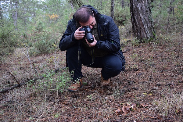 Foto - Aman dikkat! Bu tür çok zehirli! 