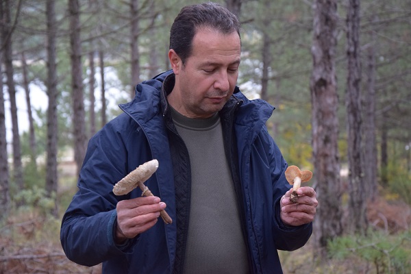 Foto - Aman dikkat! Bu tür çok zehirli! 