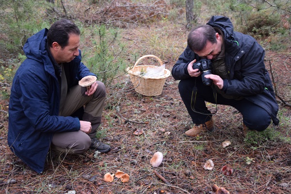 Foto - Aman dikkat! Bu tür çok zehirli! 