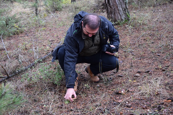 Aman dikkat! Bu tür çok zehirli! 