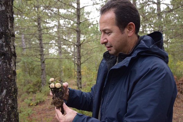 Foto - Aman dikkat! Bu tür çok zehirli! 