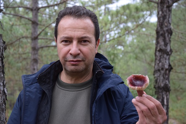 Foto - Aman dikkat! Bu tür çok zehirli! 