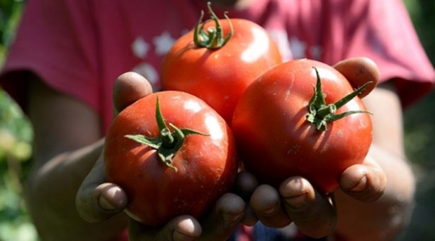 Foto - Aman dikkat! Buzdolabına konulduğunda hastalık saçan besinler