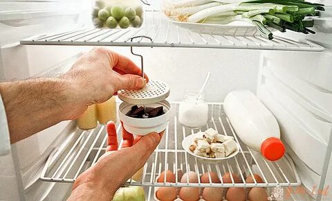 Foto - Aman dikkat! Hasta olmanızın sebebi buzdolabınız olabilir