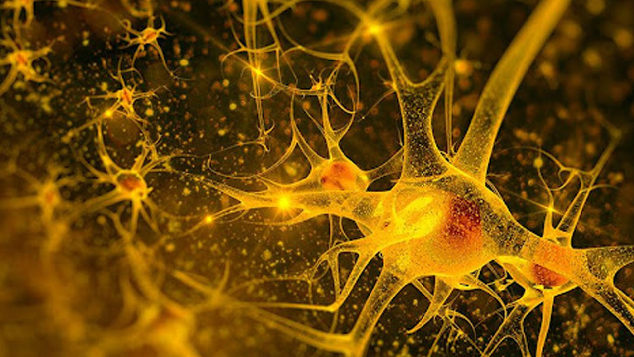 Foto - Aman dikkat herkesin başına gelebilir! Gece başlayan uyuşukluk ölümcül hastalığın habercisi olabilir