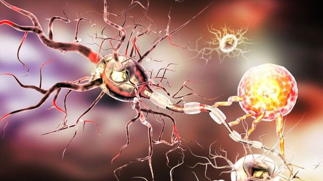 Foto - Aman dikkat herkesin başına gelebilir! Gece başlayan uyuşukluk ölümcül hastalığın habercisi olabilir