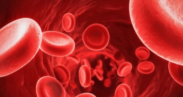 Foto - Aman dikkat! Kavun yedikten sonra bunu yaparsanız...