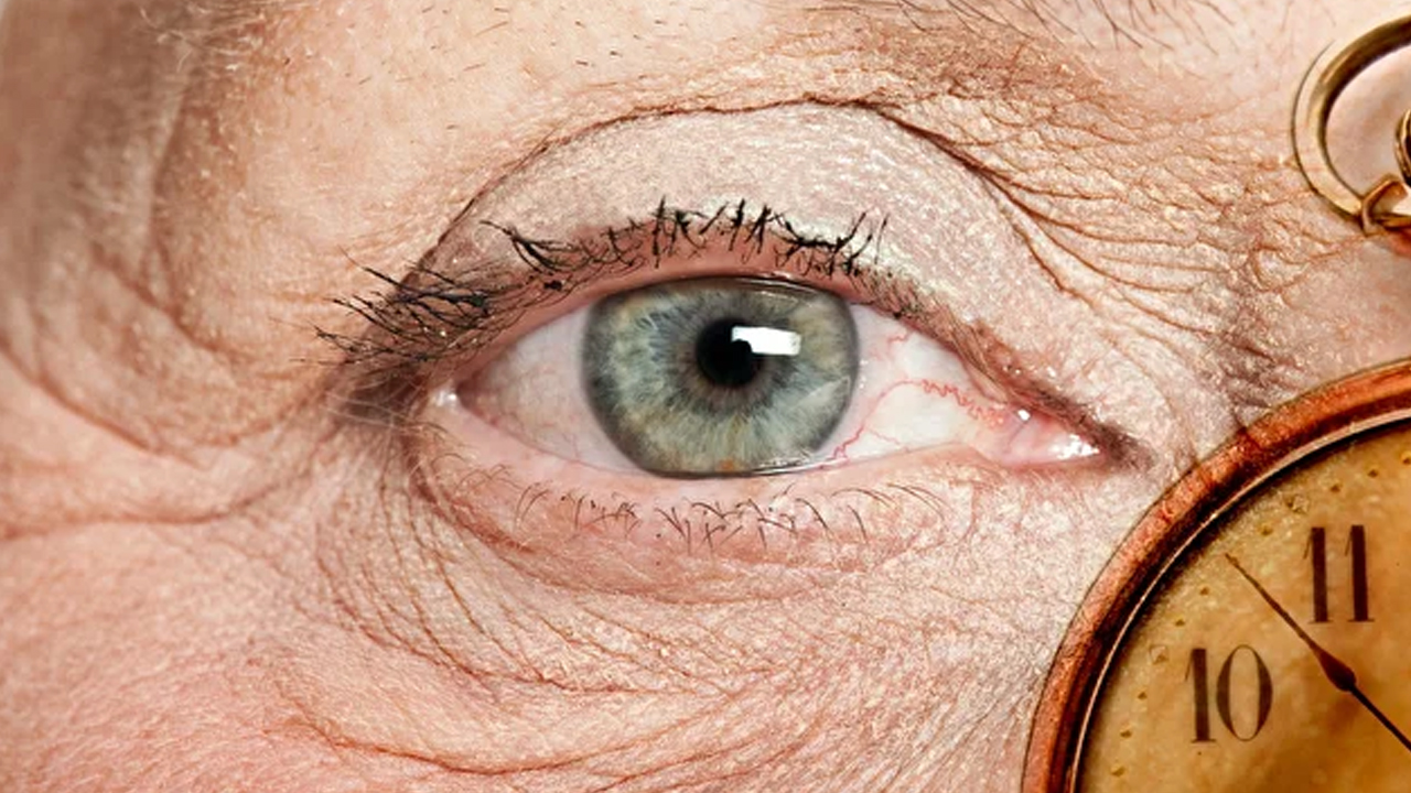  Aman dikkat ömrünüzden 9 gün çalıyor ortaya çıkarıldı! Hiç kimse inanmayacak! 