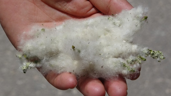 Foto - Aman dikkat! Sakın maskesiz dışarı çıkmayın