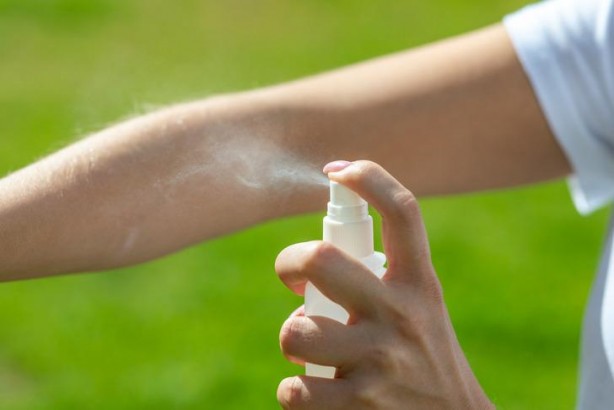 Foto - Aman dikkat tedavisinin gecikmesi ölümcül olabilir! Sivrisineklerden bulaşıyor