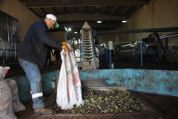 Foto - Aman dikkat! Yarısından fazlası sahte