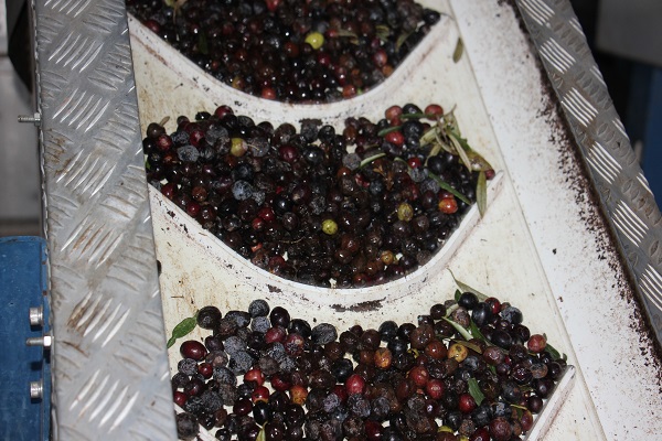 Foto - Aman dikkat! Yarısından fazlası sahte