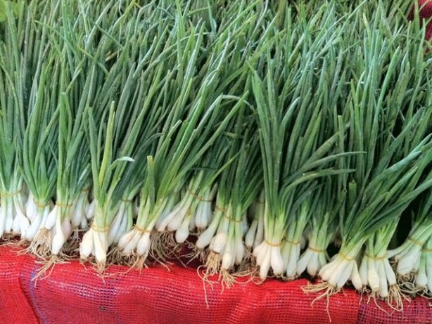 Foto - Aman dikkat! Yumurtayı böyle yerseniz öldürücü olabilir