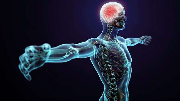 Foto - Aman eksik etmeyin! Tam bir B12 deposu