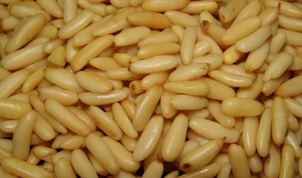 Foto - Aman sofranızdan eksik etmeyin! Zayıflattığı kanıtlanan mucize besinler!