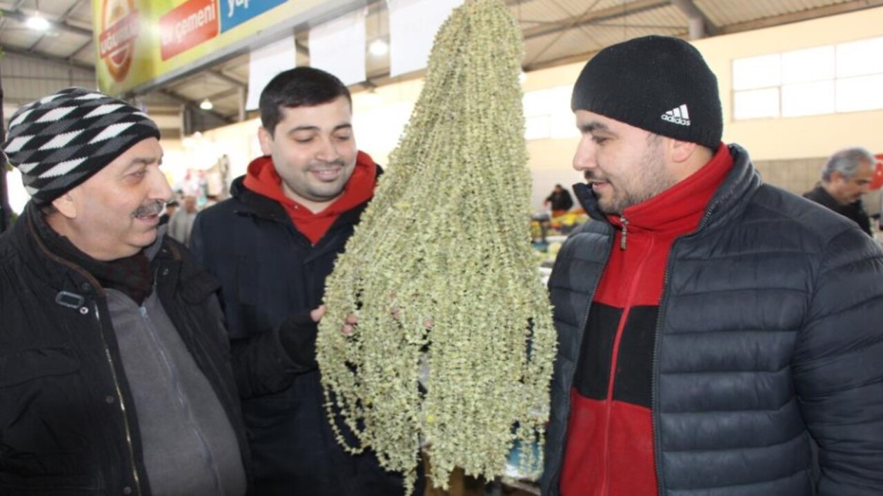 Foto - Amasya’da bambanın fiyatı çeyrek altını geçti