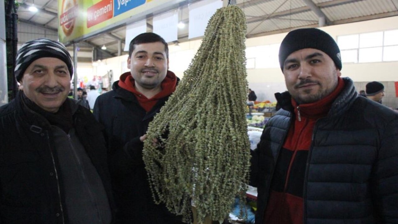 Amasya’da bambanın fiyatı çeyrek altını geçti