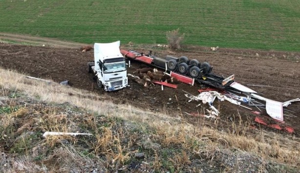 Foto - Amasya'da Tır kontrolden çıktı büyükbaş hayvanlar telef oldu