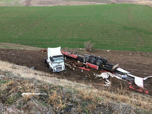 Amasya'da Tır kontrolden çıktı büyükbaş hayvanlar telef oldu