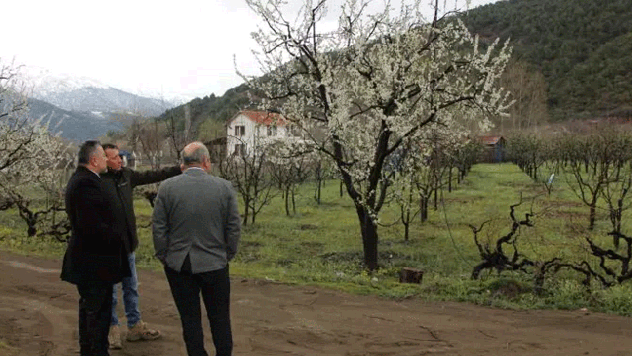 Foto - Amasyalı vatandaştan akılalmaz yöntem: 300'ünü birden dondurdu!
