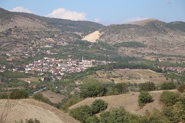 Foto - Amasyalılar bu meyveyi 2 bin yıldır yetiştiriyor