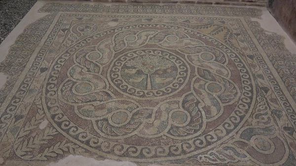 Foto - Amasyalılar bu meyveyi 2 bin yıldır yetiştiriyor