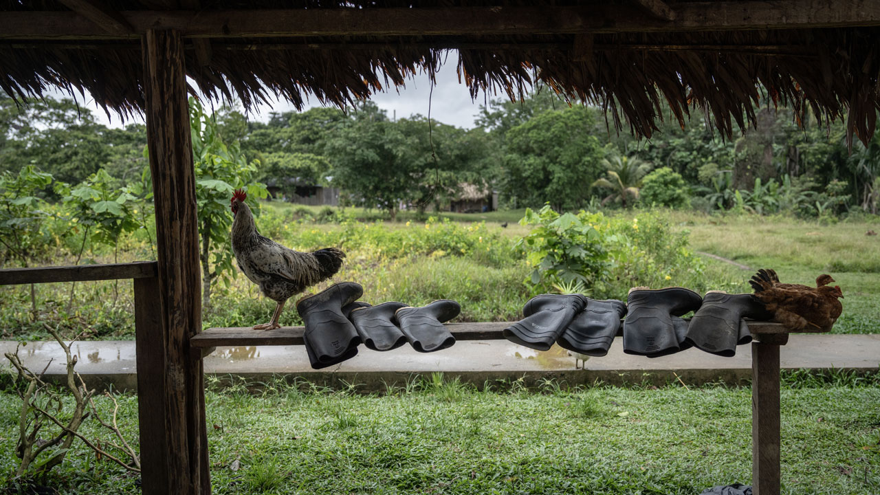 Foto - Amazon’un kalbinde yaşam! Waoraniler, köklerinden vazgeçmiyor