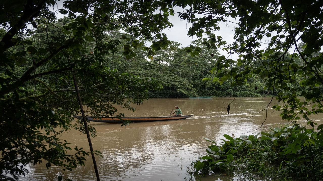 Amazon’un kalbinde yaşam! Waoraniler, köklerinden vazgeçmiyor
