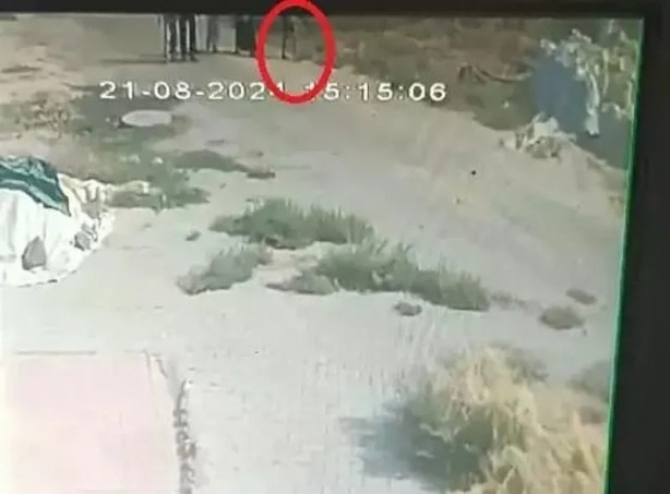 Foto - Amca Salim Güran ifade verdi: Şoke eden savunma…