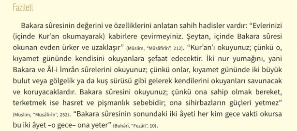 Foto - Amenerrasülü (Bakara Suresi son 2 ayet) Arapça Türkçe Okunuşu ve Meali