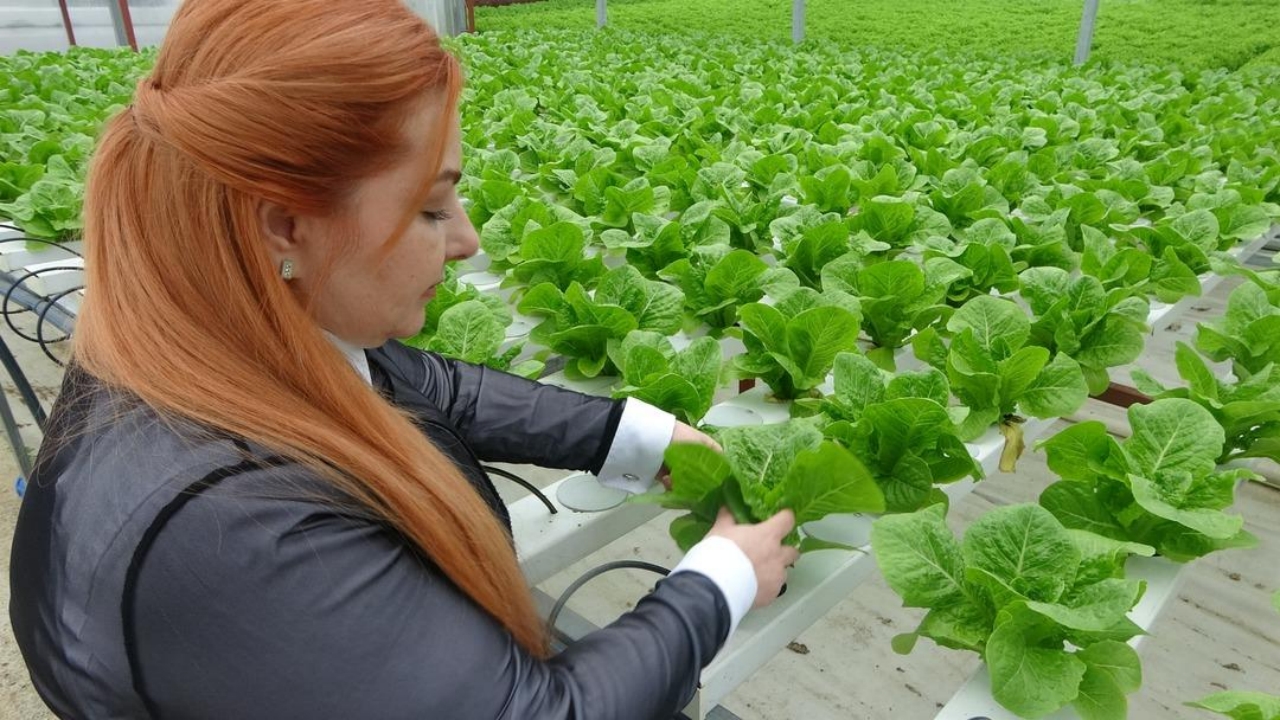 Foto - Amerika’da görüp Trabzon’da kurdu! "Bundan hiç kimseciklerin haberi yok" dedi! Elif hanım öyle bir şey yapmış ki...