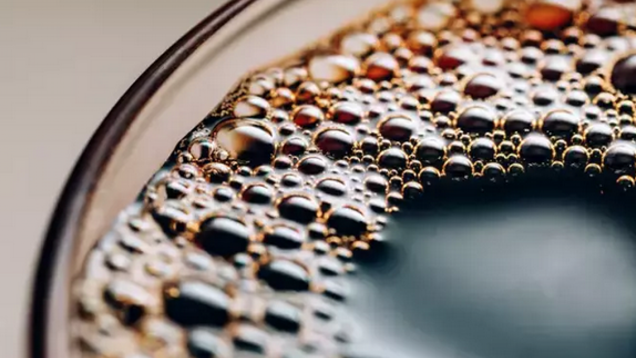 Foto - Amerikalılar bardak bardak içiyor! Doğru içim miktarı belli oldu! Meğer faydasını görmek için...