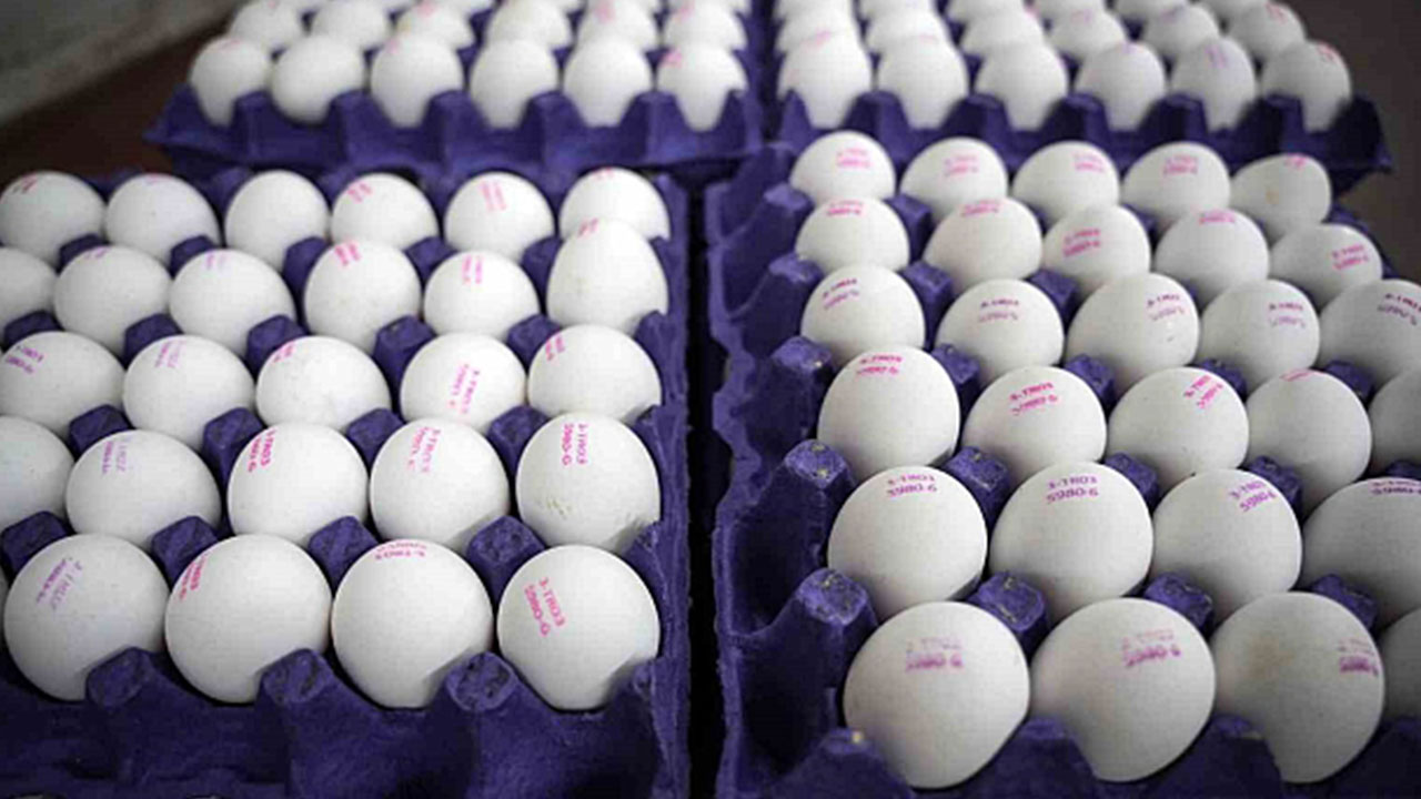 Foto - Amerikalılar ucuza yesin Türk halkı pahalıya yiyordu: Fiyatı bir anda yüzde 50 düştü