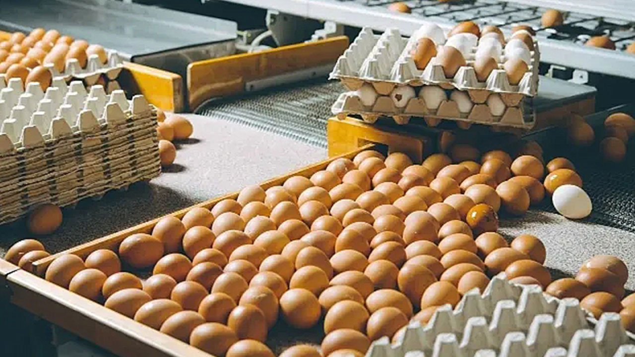 Foto - Amerikalılar ucuza yesin Türk halkı pahalıya yiyordu: Fiyatı bir anda yüzde 50 düştü