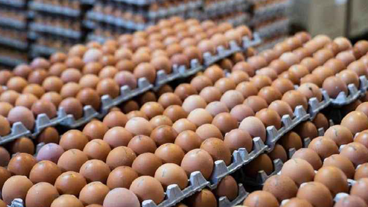 Foto - Amerikalılar ucuza yesin Türk halkı pahalıya yiyordu: Fiyatı bir anda yüzde 50 düştü