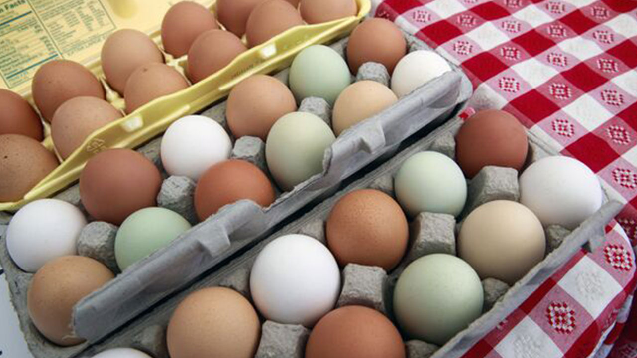 Foto - Amerikalılar ucuza yesin Türk halkı pahalıya yiyordu: Fiyatı bir anda yüzde 50 düştü