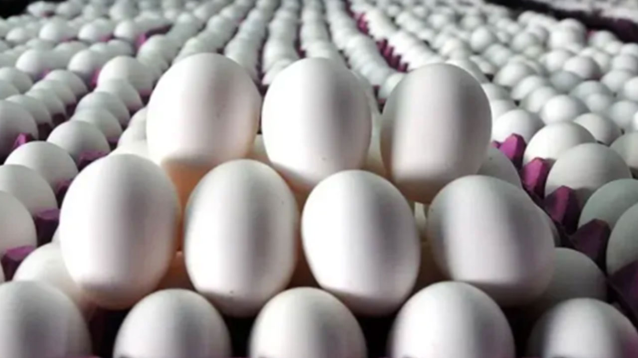 Foto - Amerikalılar ucuza yesin Türk halkı pahalıya yiyordu: Fiyatı bir anda yüzde 50 düştü