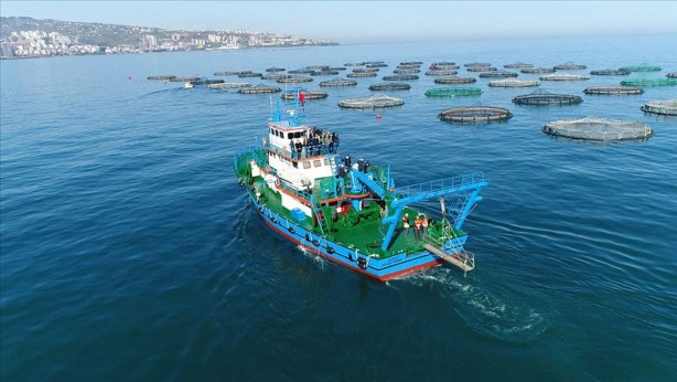 Foto - Amerikalılardan şaşırtan Trabzon kararı! Çılgınlar gibi almaya başladılar