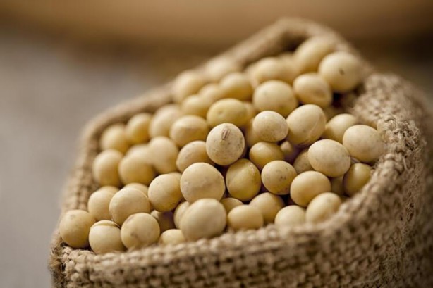 Foto - Amerikan Kanser Derneği ilan etti! İşte korunmak için yapmanız gerekenler