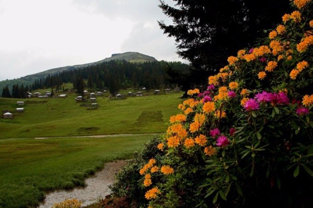 Foto - Anadolu göz kamaştırıyor!