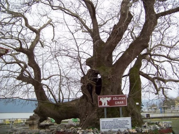 Foto - Anadolu göz kamaştırıyor!