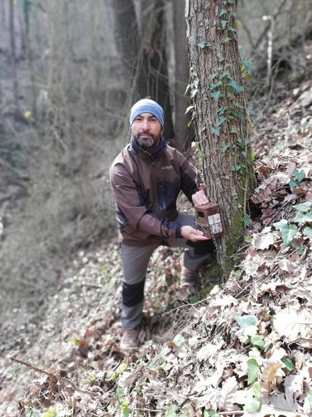 Foto - Anadolu parsının DNA'sı alındı
