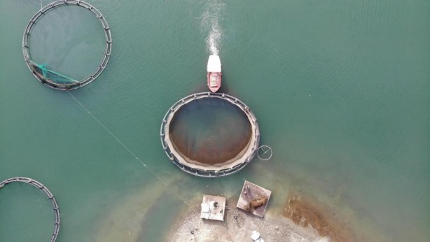 Foto - Anadolu'da denizi olmayan şehirden somon ihracatı!