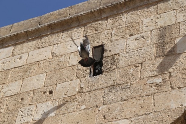 Foto - Anadolu'nun eşsiz başyapıtlarından Şanlıurfa Ulu Camii