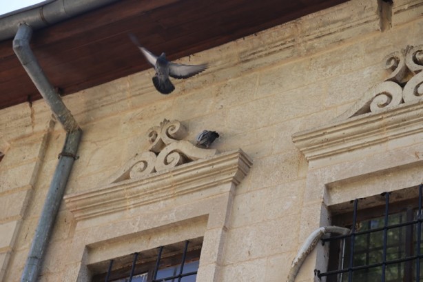 Foto - Anadolu'nun eşsiz başyapıtlarından Şanlıurfa Ulu Camii