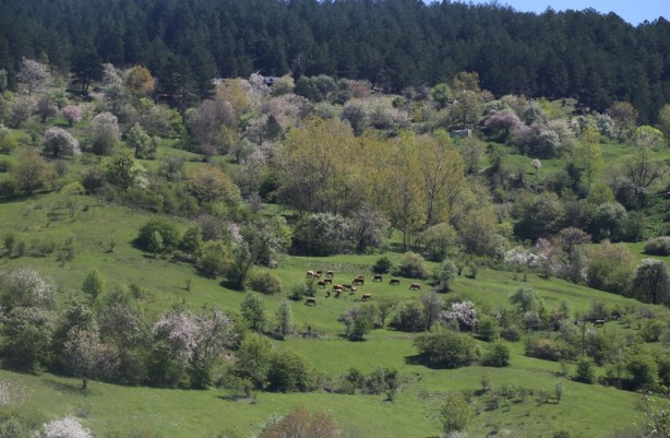 Foto - "Anadolu'nun yüce dağı" gezginleri bekliyor