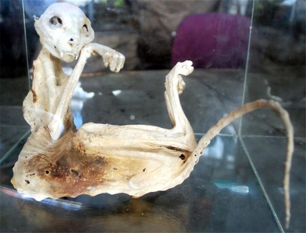 Foto - Anahtarcı dükkanında gizemli iskelet