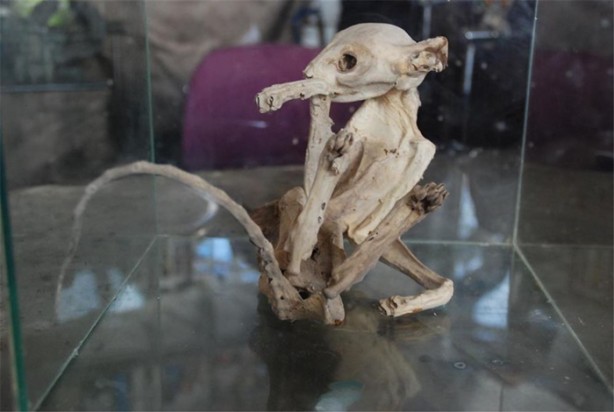 Foto - Anahtarcı dükkanında gizemli iskelet