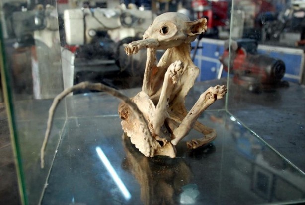 Foto - Anahtarcı dükkanında gizemli iskelet