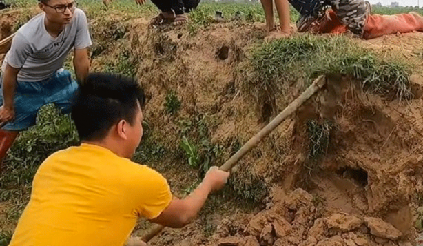 Anakondayı kış uykusundan uyandırdılar! Kazdıkları delikten çıkanlar şaşkına çevirdi
